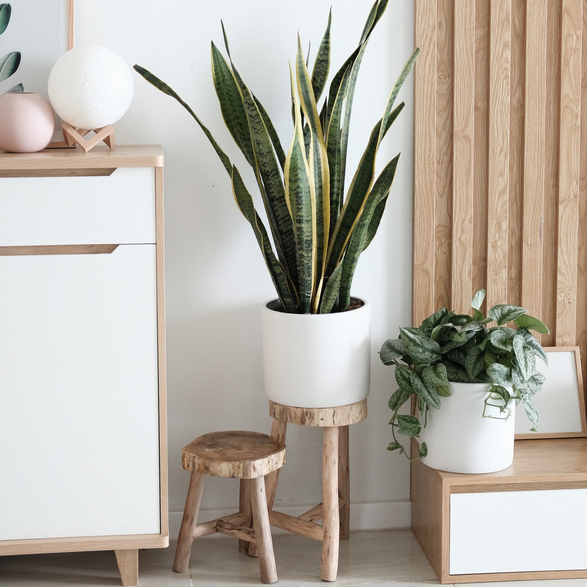 Ready-made Furnitures