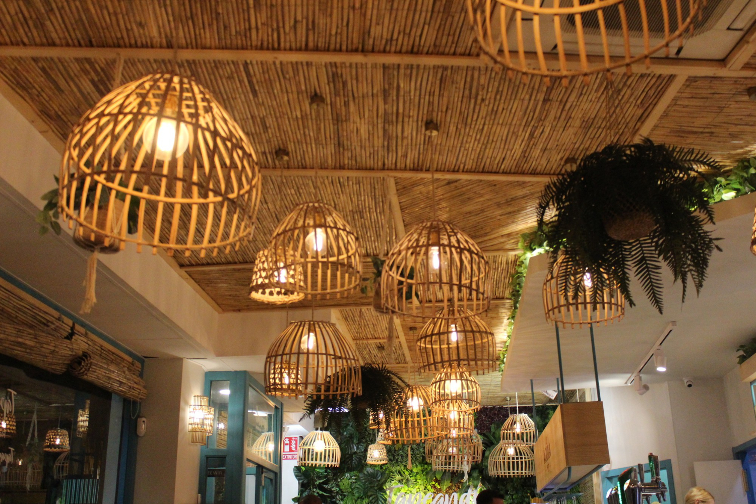 ollyo campus decoration