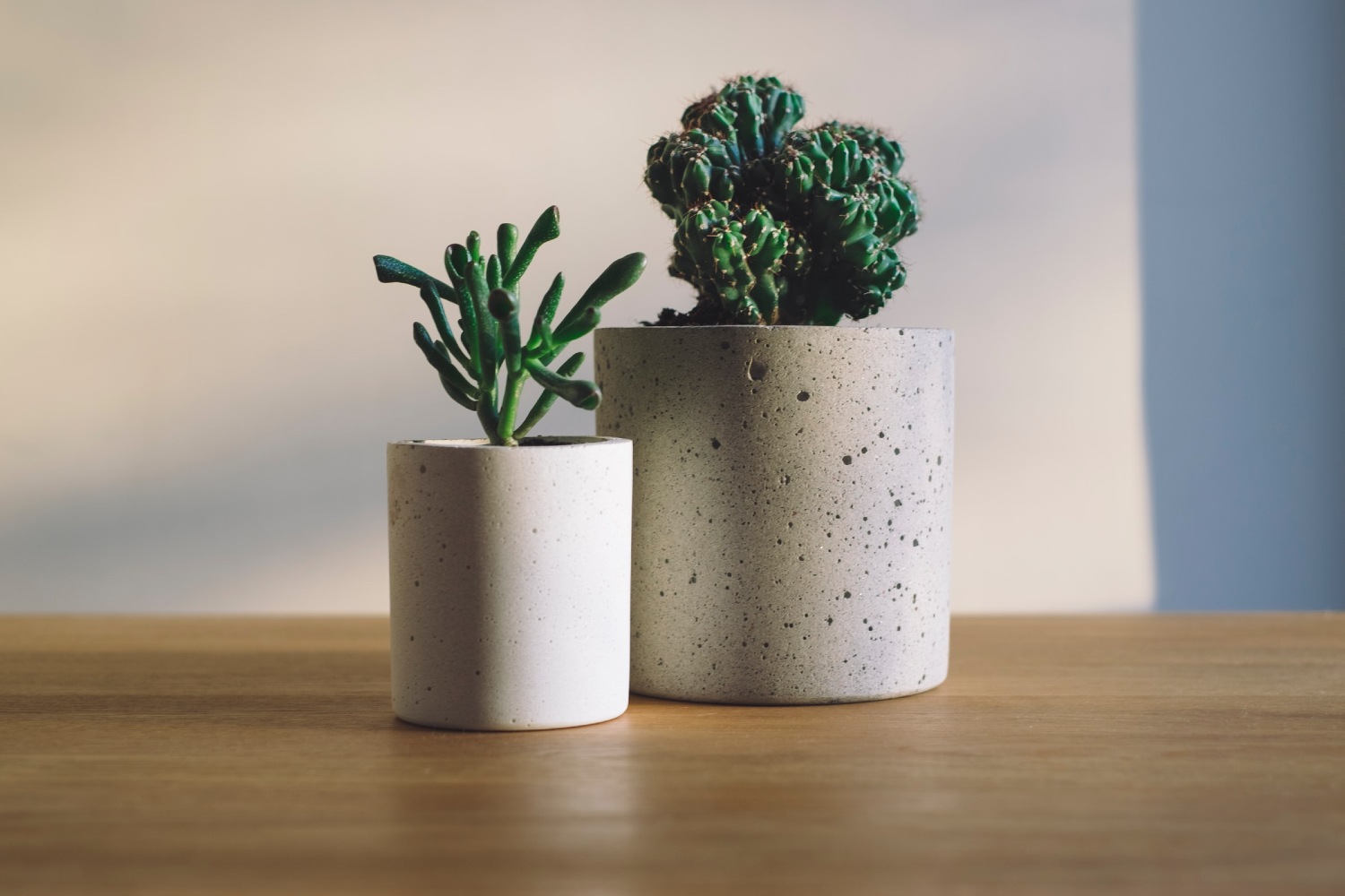 Floor pots flooring