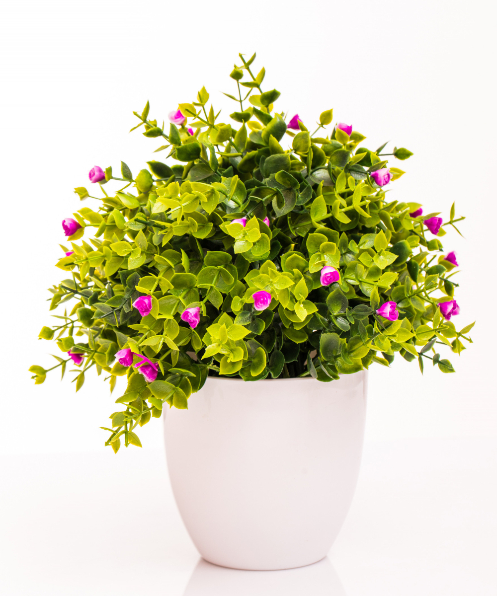 Coffee Table Vase